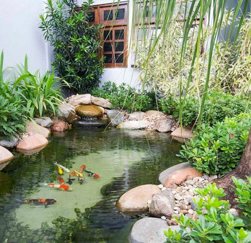 capa-lago-guy-Ecosys